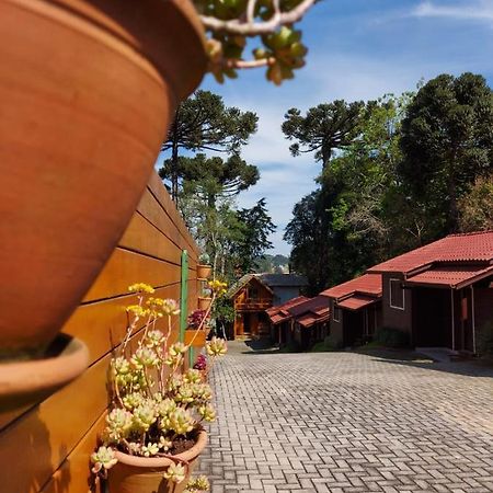 Chales Araucarias Da Serra Canela Ngoại thất bức ảnh